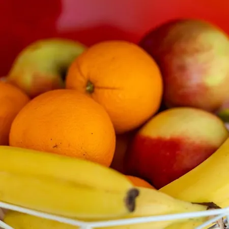 Lägenhet Niki Zvekovica Cavtat