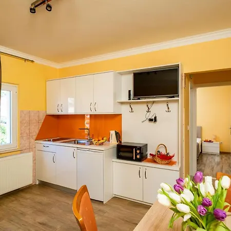 Niki Zvekovica アパート ツァヴタット